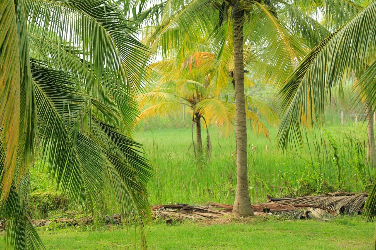 Tara Watergate Hotel Tissamaharama Buitenkant foto